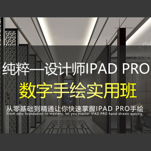 【38.5GB】纯粹—设计师IPAD PRO+Procreate数字手绘实用班 实操指南-设计盒子